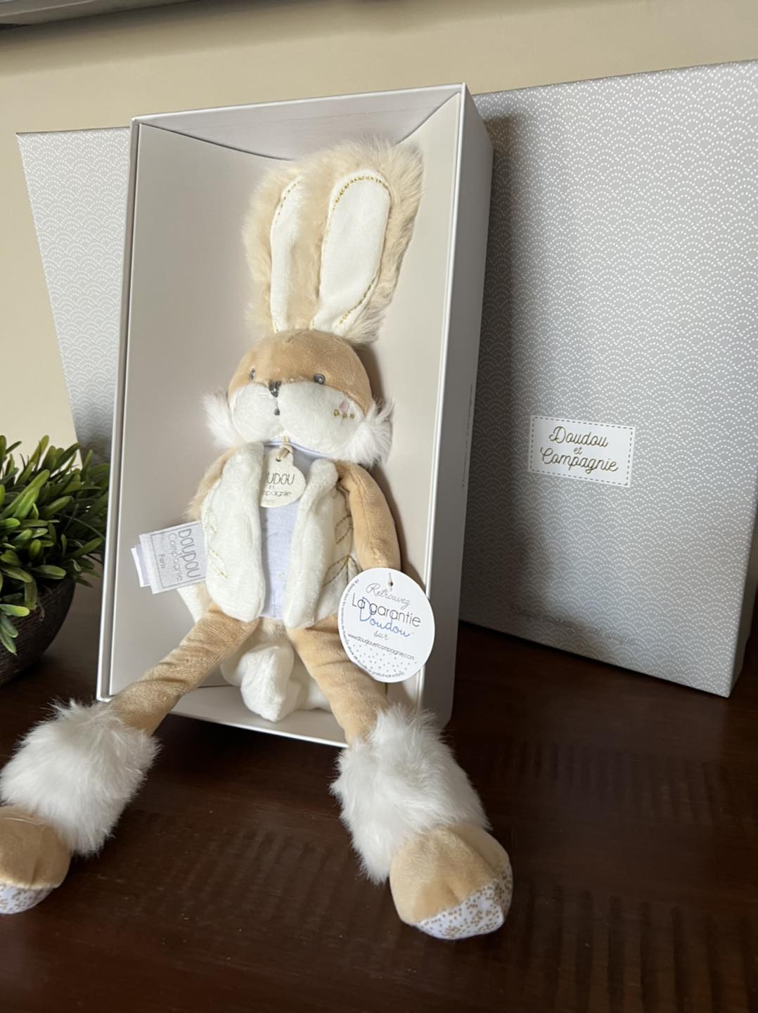 FOREVER BUNNY