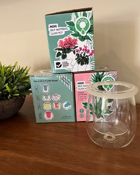 MINI SELF WATERING POT