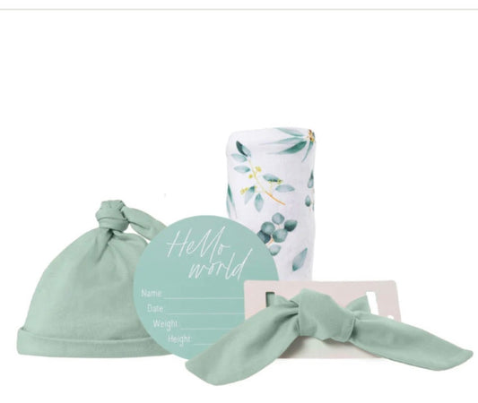 BABY ANNOUNCEMENT GREEN BUNDLE